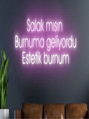 Biz Bu İşin Keyif Kısmındayız Salak Mısın Burnuma Geliyordu Estetik Burnum Yazılı Neon Tabela