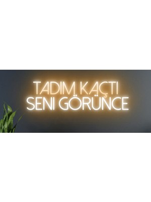 Biz Bu İşin Keyif Kısmındayız Tadım Kaçtı Seni Görünce Yazılı Neon Tabela
