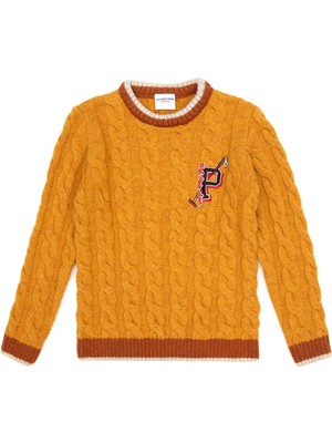 U.s. Polo Assn. Erkek Çocuk Petrol Kazak /triko 50315587-VR151