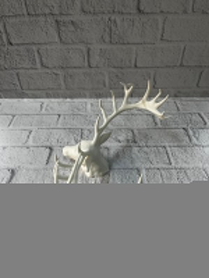 Sepetink Odern Geyik Başı Biblo 25 cm Zarif Masa Üstü Dekor