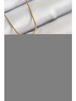 Calperia 316L Çelik Zincir Beyaz Mineli Sanatsal Portre Istiridye Model Gold Renk Kadın Kolye - TJ-BKO10267