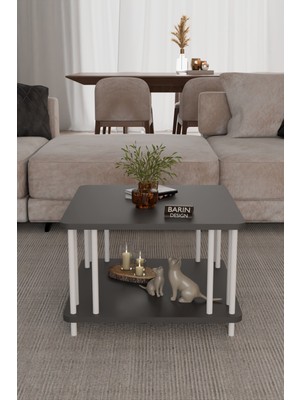 Barin Design Modern Kare Orta Sehpa Çift Katlı Beyaz Metal Ayaklı Salon, Ofis, Dekoratif Masa