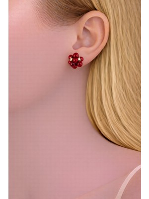 Shemora Meyve Tasarım Çelik Küpe