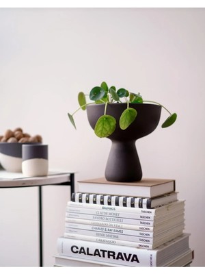 Zepce Design Mushroom Vazo Dekoratif Obje