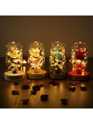 Hediye Bahçesi Gül Buketi Ledli Fanus