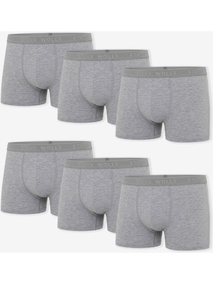 Steve Wolls Erkek Gri 6’lı Likralı Boxer - 24102