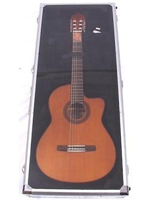 Valencia DSC420 Akustik Gitar Teşhir Çantası | Şeffaf Ön Yüzey - Alüminyum Çerçeve - Mağaza Tipi