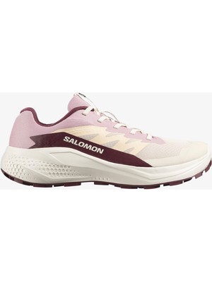 Salomon Alphaglıde Kadın Koşu Ayakkabısı Tapioca L49092800