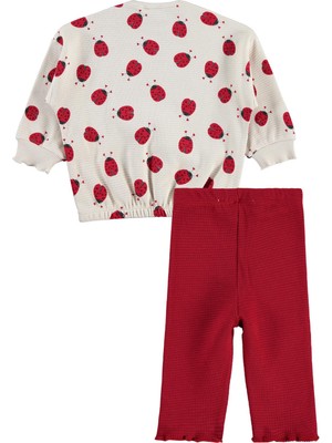 Civil Baby Uğur Böceği Baskılı 6-18 Ay Takım - Bej 6-9 Ay