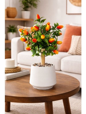Yapay Çiçekçiniz Beyaz Beton Saksıda 35 cm Yapay Kumkat Ağacı Taş ve Bambu Detaylı