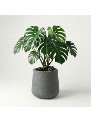 Hobi Tarım Beton Saksı – 30X35CM