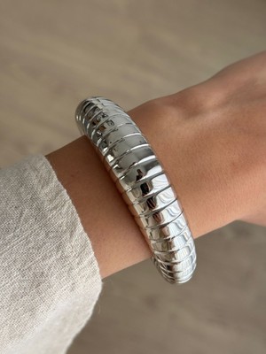 İrem Yıldız Ccb Çelik Kaplama Ayarlanabilir Kelepçe