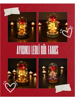 Konyax Ayıcıklı Ledli Gül Fanus