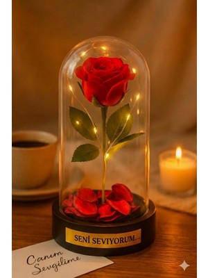 Marsilyan Sevgiliye Seni Seviyorum Temalı Led Işıklı Mika Fanus Kırmızı Yapma Solmayan Gül  Büyük Boy 22 cm