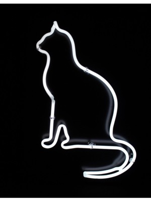 Neon LED Kedi, Pleksi Levha