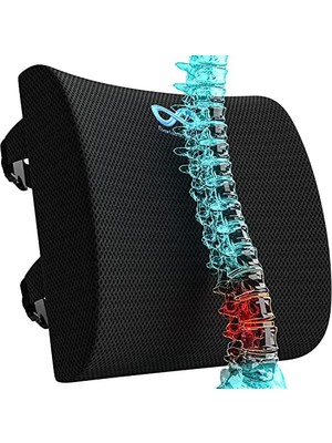 Aesco Cocix Oturma Minderi Bel Yastığı Bel Destek Yastığı Ortopedik Visco Yastık Basur Minderi Ofis Minderi Set,, Siyah, Normal