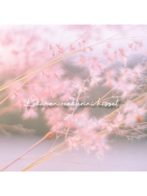 Aesco Deep Fresh Çubuklu Oda Kokusu 100 ml (Pudra)