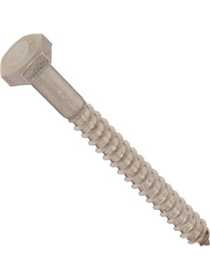 Aesco The Group 832010 1/4 x 2-1/2-Inç Paslanmaz Çelik Altıgen Uçlu Vida, 25'li Paket