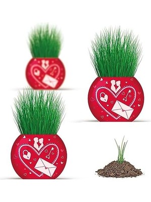 Aesco Aşk Temalı 6'lı Çim Adam Bitki Yetiştirme Seti – Romantik ve Eğlenceli Hediye