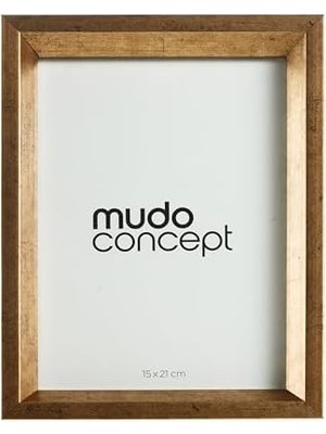 Aesco 15X21 Fotoğraf Çerçevesi Altın