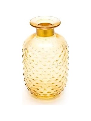 Aesco Boyunlu Cam Vazo (15 Cm)