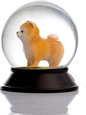 Aesco Cam ve Reçine Altın Patiler Köpek Pomeranian Boo (Kayısı) Kar Küresi Hediye