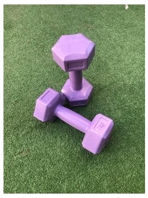 Leyaton Plastik Dambıl Ağırlık Seti 1 kg x 2 Adet -646667 Tek Ebat Mor Dambıl Seti 2 x 1 kg