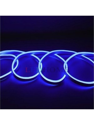 12 Volt Dış Mekan 1 Metre Mavi Işık Neon LED