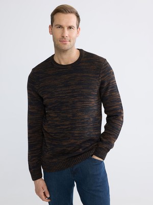 Lc Waikiki Yeni Sezon Bisiklet Yaka Desenli Erkek Triko Kazak