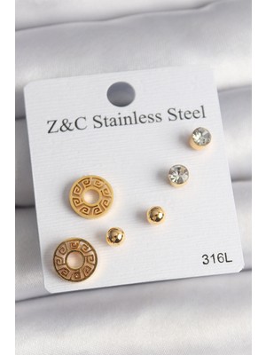 DS LLC 316L Çelik Gold Renk Zirkon Taşı Labirent Model Kadın Küpe Seti DSLLC-3245YU5