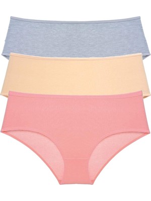 DS LLC 3 Adet Kadın Yüksek Bel Bato Külot Gri Ten Pudra DSLLC34-43TX