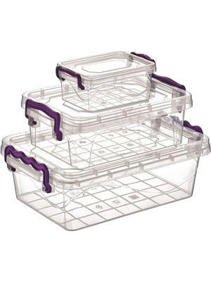 DS LLC 3'lü Viyola Mini Dikdörtgen Saklama Kabı ROYALEKS-ÇNK2076 DSLLC34-43TX