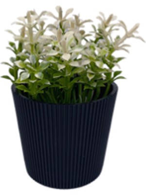 DS LLC Çizgili Yuvarlak Saksı Çiçek ROYALEKS-5706 DSLLC34-43TX