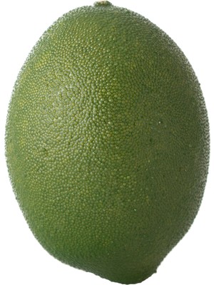 Mudo Home YAPAY YEŞİL LİMON