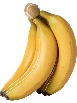 Mudo Home YAPAY MUZ 20 CM