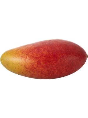 Mudo Home YAPAY MANGO 16 CM
