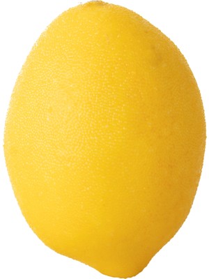 Mudo Home YAPAY SARI LİMON