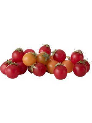 Mudo Home YAPAY PAKET DOMATES