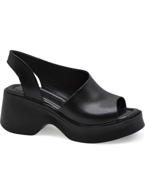 Venüs Kadın Sandalet 2313113Y