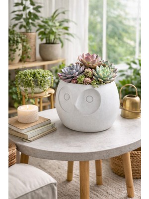 Baykuş Kafası Saksı