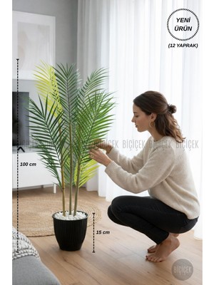 Biçiçek 100 cm Areka Ağacı 3 Gövdeli