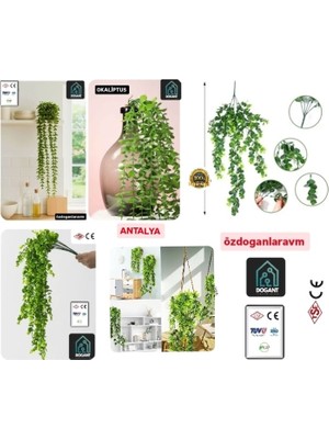 Dogant XXXXL Yapay Çiçek Sarkıt Okaliptüs (Saksısız)