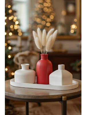 Safir Design Tepsili Kırmız Beyaz Iskandinav Vazo Seti ve Doğal Pampas Otu Hediyesi