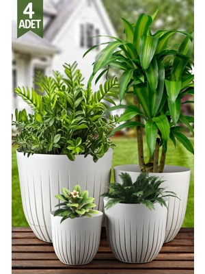 Nandy Home 4'lü Line Model Saksı Seti