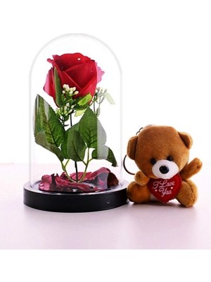 Marsilyan Fanusta Kırmızı Gül ve Mini Ayıcık Set Sevgiliye Hediye 01B