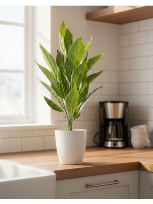 Yasima Yeşil Yapay Starliçe 75 cm Ev ve Iş Yeri Dekorasyon Önerisi