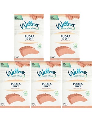 Askılı Oda & Dolap Kokusu Pudra Efekt 21 G – 5’li Set