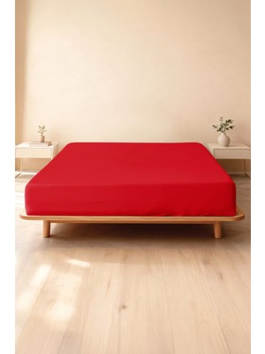 Soley | Jersey |  Pamuk Tek Kişilik Premium Lastikli Çarşaf