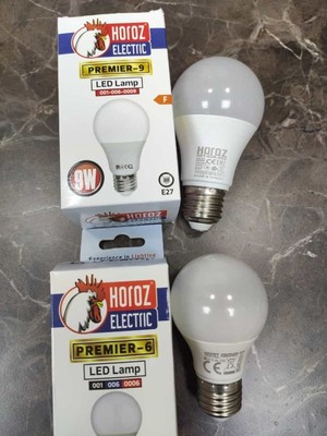 Azrlya 9W LED Ampül 2 Li