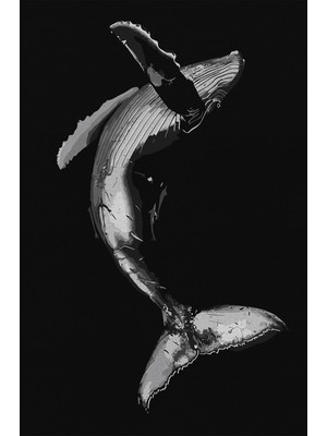 Kilim Home Mars 49 Modern Stil Siyah Balina Halı ve Kilim Salon Halısı Yıkanabilen Dekoratif Halı